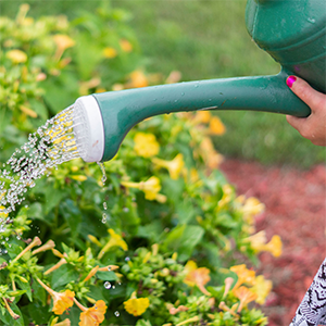 Comment bien arroser son jardin avec un arrosoir - Univers Du Pro